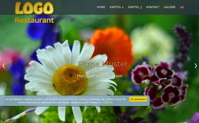 Responsive Website