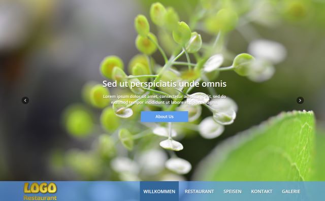 Responsive Website