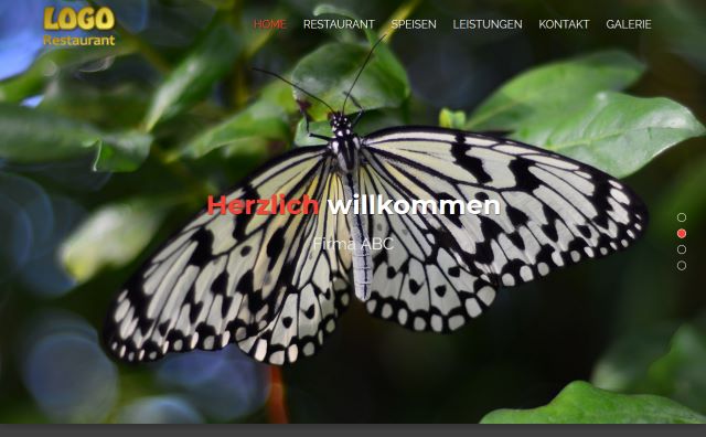 Responsive Website